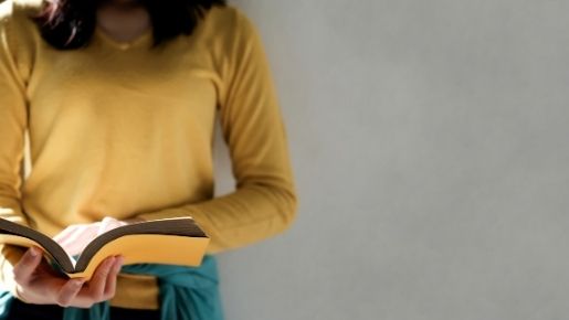 Paarup Fallback Kategori